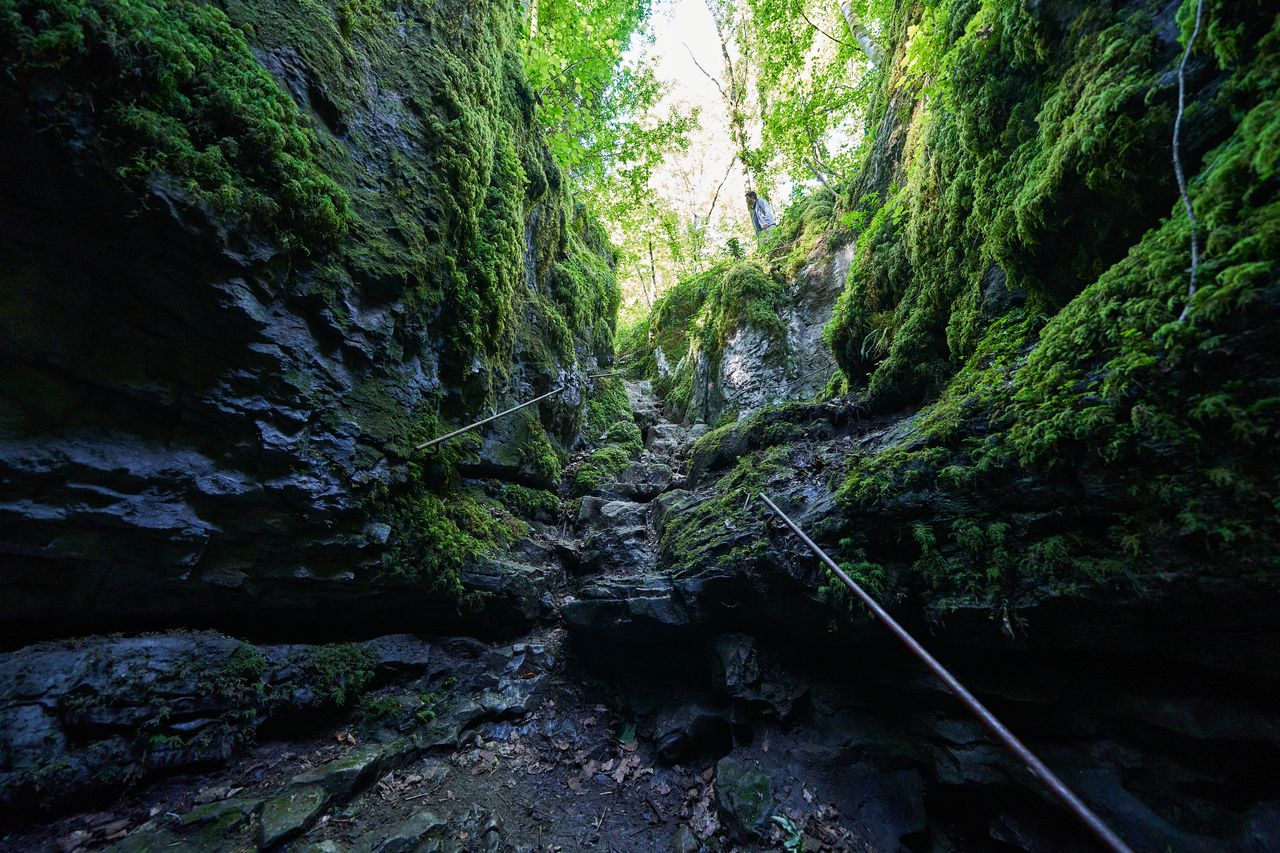 Sentier karstique des Malrochers à Besain, près de Poligny 05